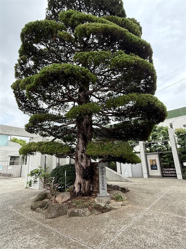 f:id:gokigen-fuko:20250921115108j:image f:id:gokigen-fuko:20250921115108j:image