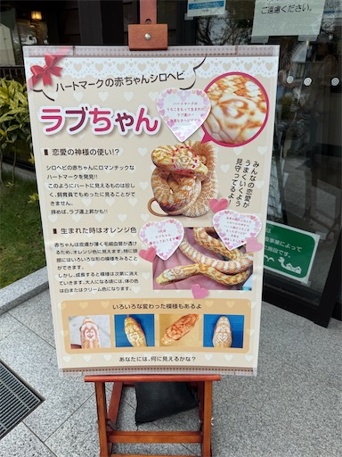 f:id:gokigen-fuko:20250921150905j:image f:id:gokigen-fuko:20250921150905j:image