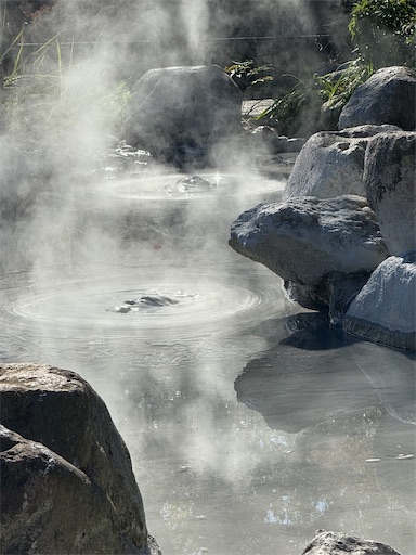 f:id:gokigen-fuko:20251128210048j:image f:id:gokigen-fuko:20251128210048j:image