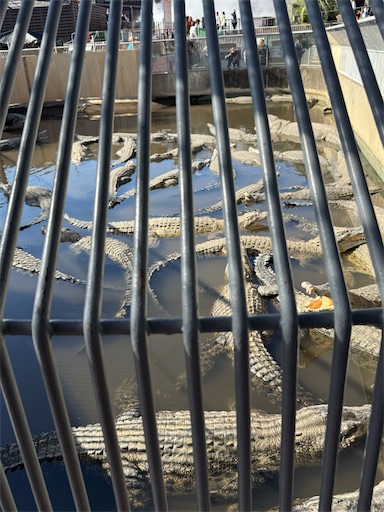 f:id:gokigen-fuko:20251128210731j:image f:id:gokigen-fuko:20251128210731j:image