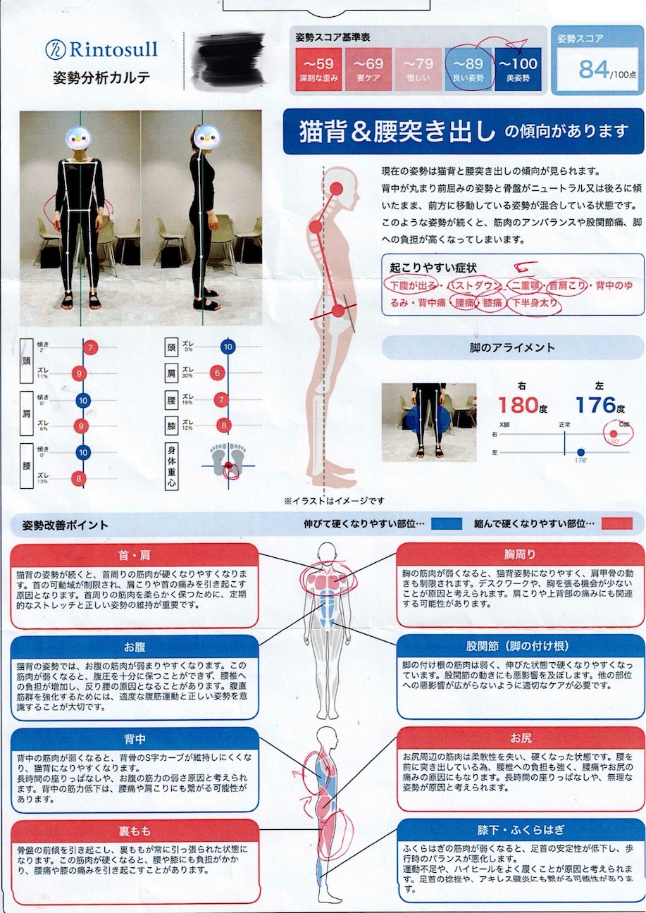 f:id:gokigen-saien:20260921115230j:image f:id:gokigen-saien:20260921115230j:image