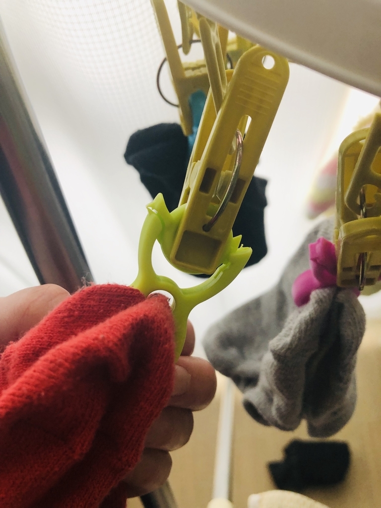 f:id:gokigenneco:20190110211115j:plain