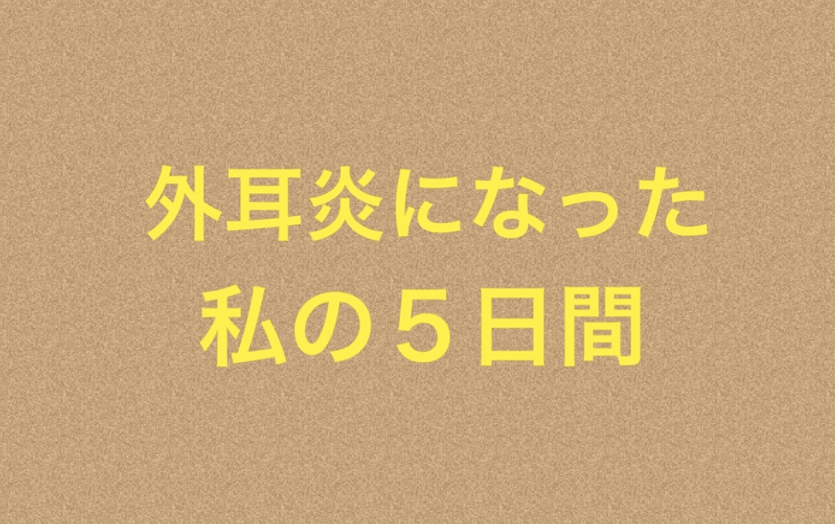 f:id:gokigenneco:20190814194844j:plain