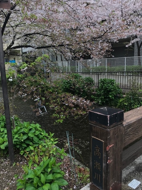 f:id:gokigenyoko:20190418220705j:plain