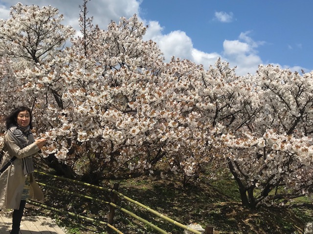 f:id:gokigenyoko:20190418223257j:plain