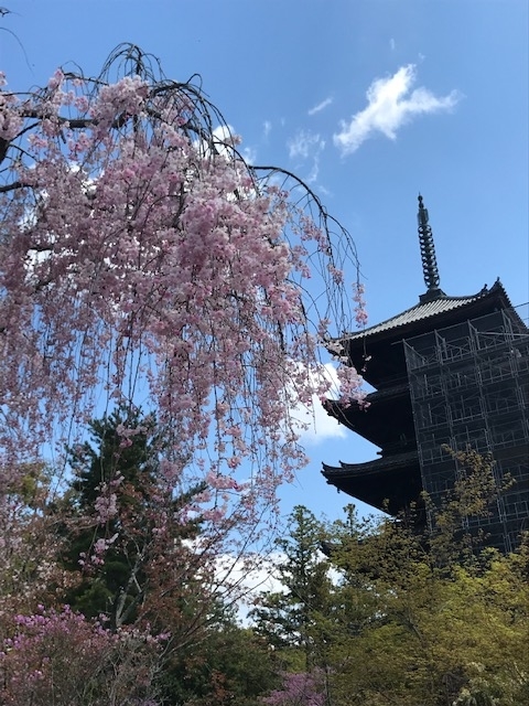 f:id:gokigenyoko:20190418223538j:plain