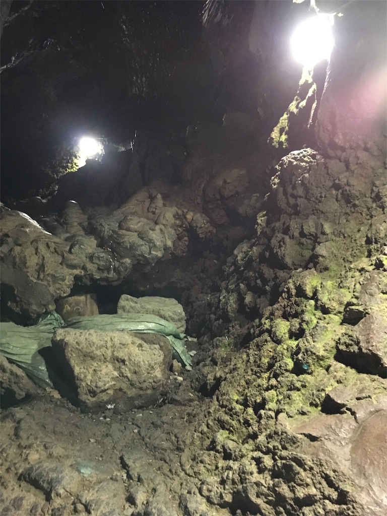 f:id:gokryu:20190312221147j:image