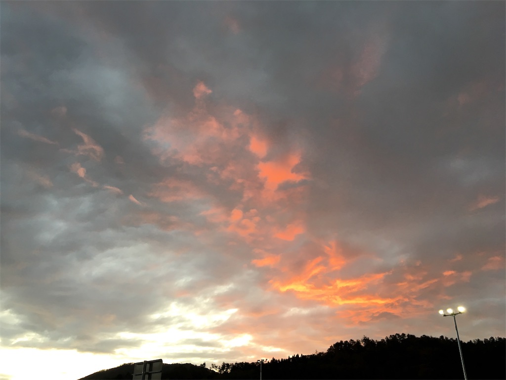 f:id:gokryu:20190325220225j:image f:id:gokryu:20190325220225j:image