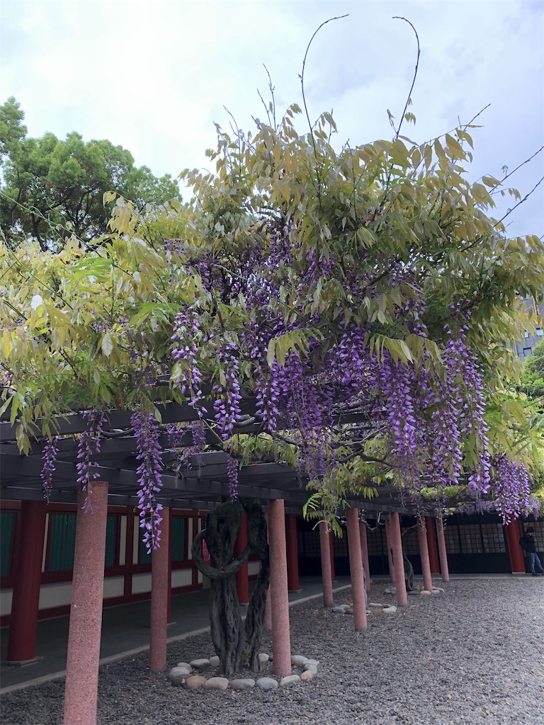 f:id:gokryu:20190427234204j:image f:id:gokryu:20190427234204j:image