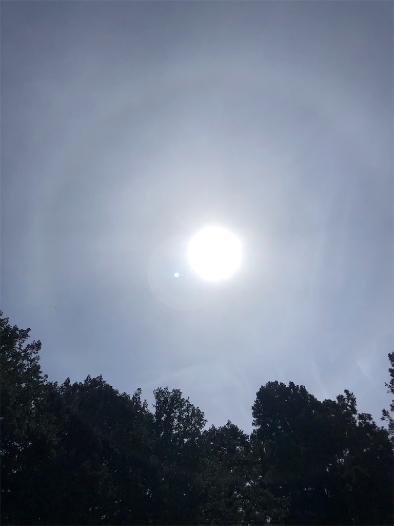 f:id:gokryu:20190428222719j:image