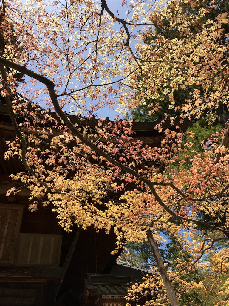 f:id:gokryu:20190428223127j:image