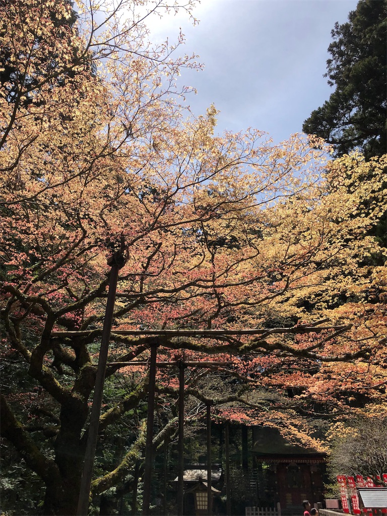 f:id:gokryu:20190428223142j:image