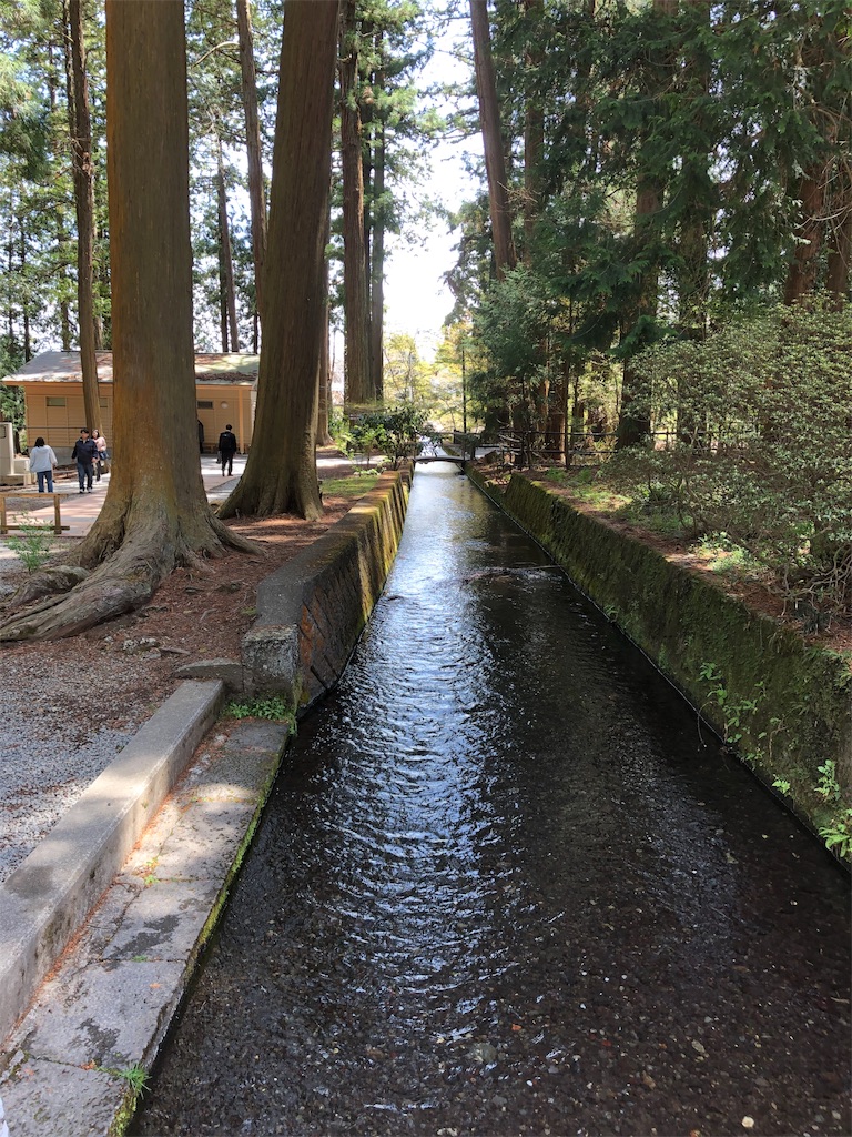 f:id:gokryu:20190428223146j:image