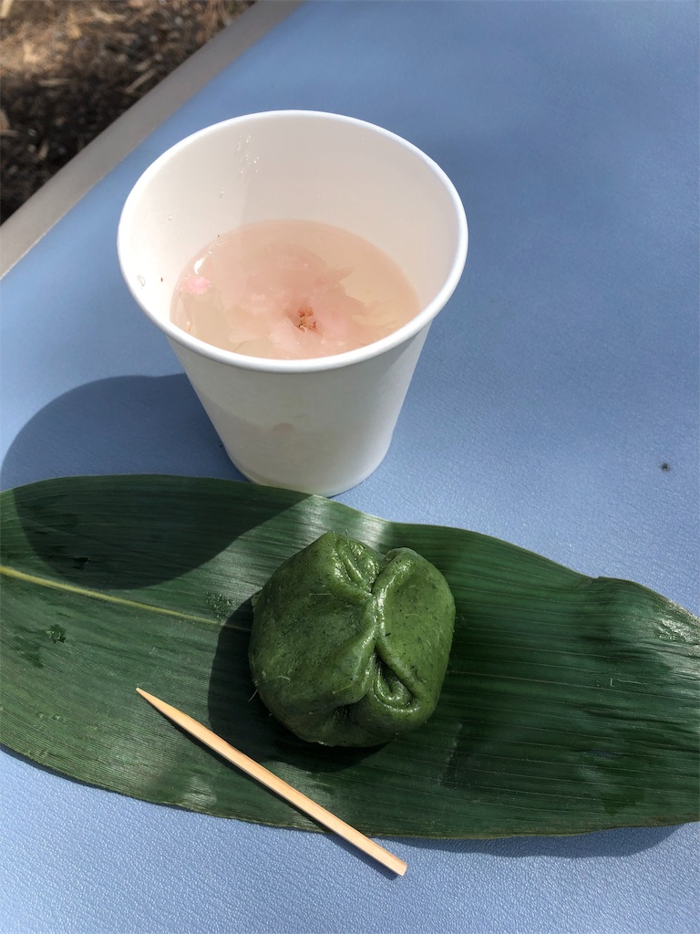 f:id:gokryu:20190428223337j:image