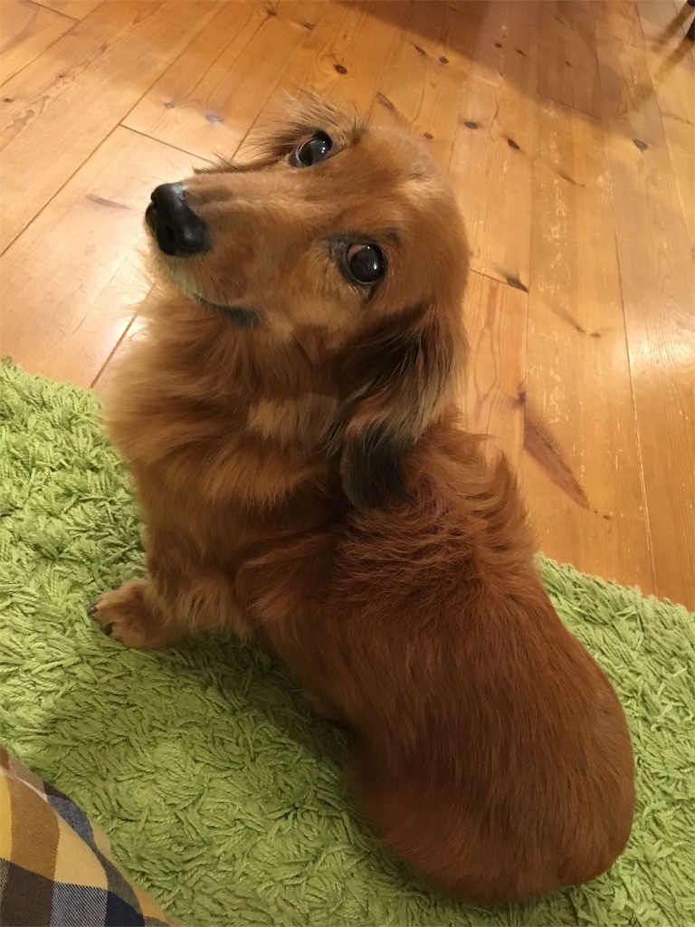 f:id:gokryu:20190520224430j:image