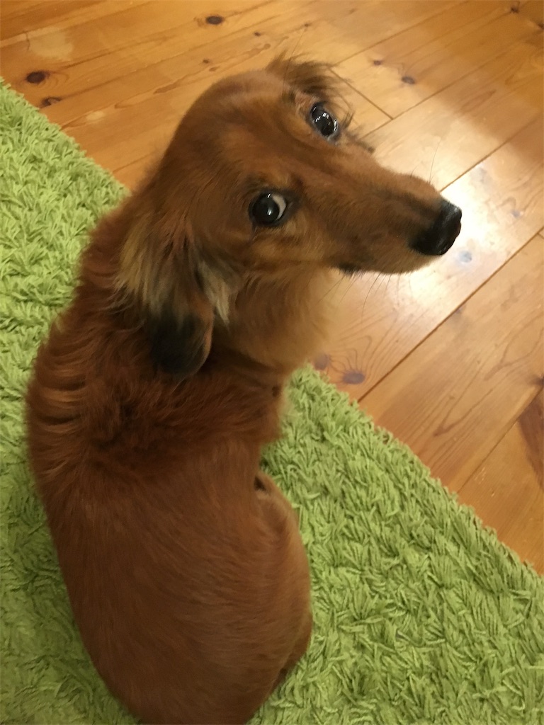 f:id:gokryu:20190520224434j:image