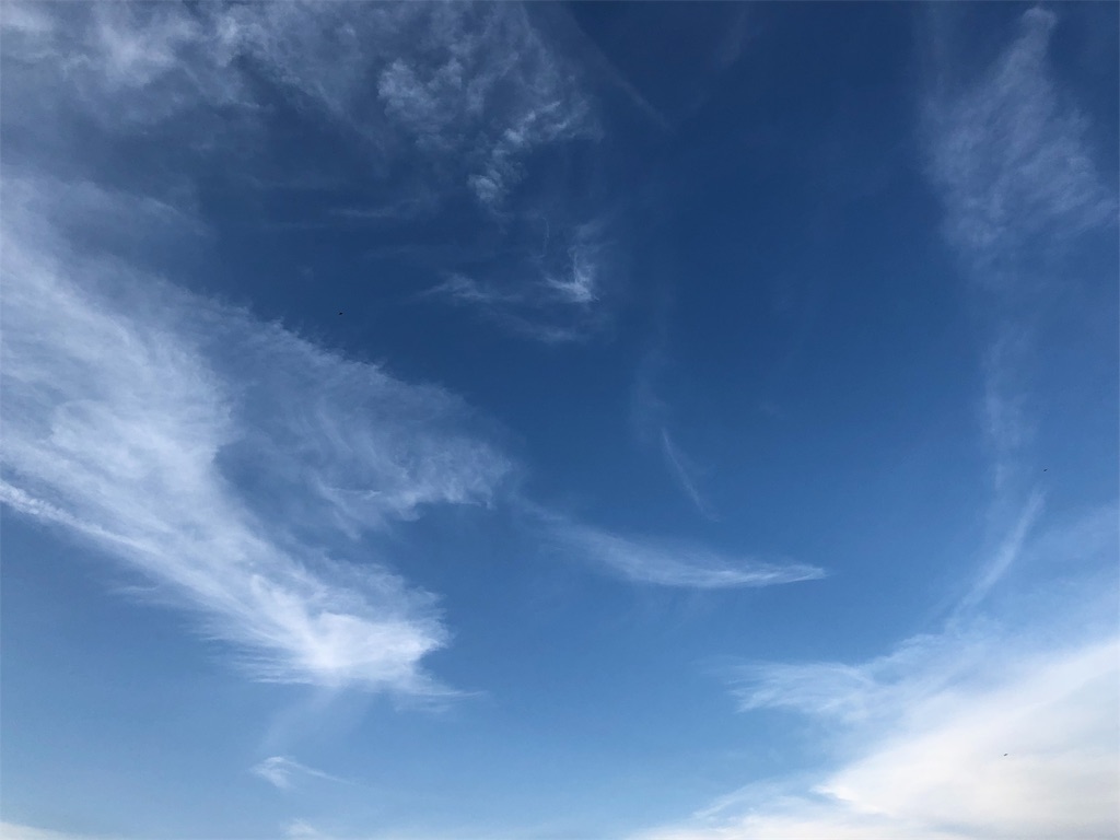 f:id:gokryu:20190526182803j:image