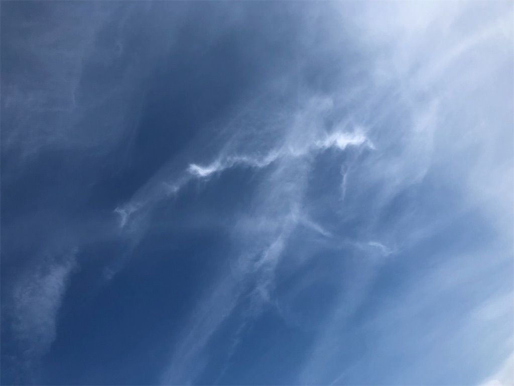 f:id:gokryu:20190526182812j:image