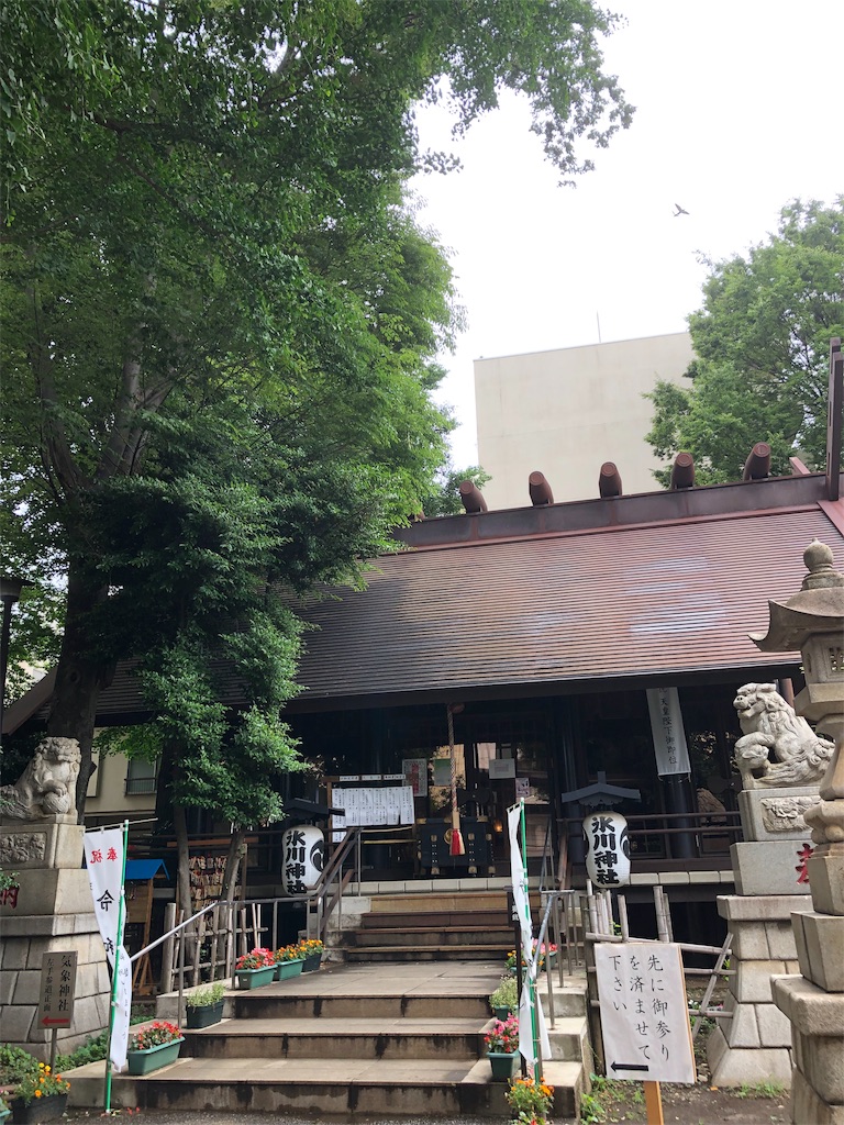 f:id:gokryu:20190611215122j:image