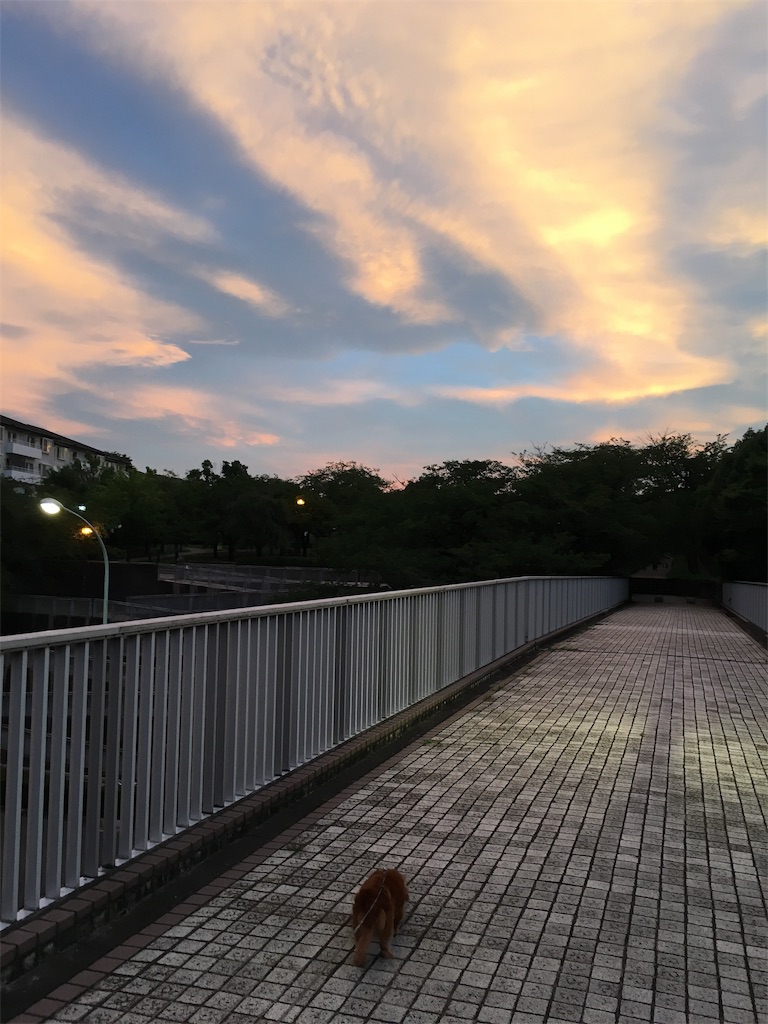 f:id:gokryu:20190612055015j:image f:id:gokryu:20190612055015j:image