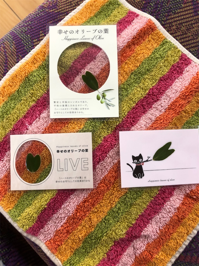 f:id:gokryu:20190802143711j:image