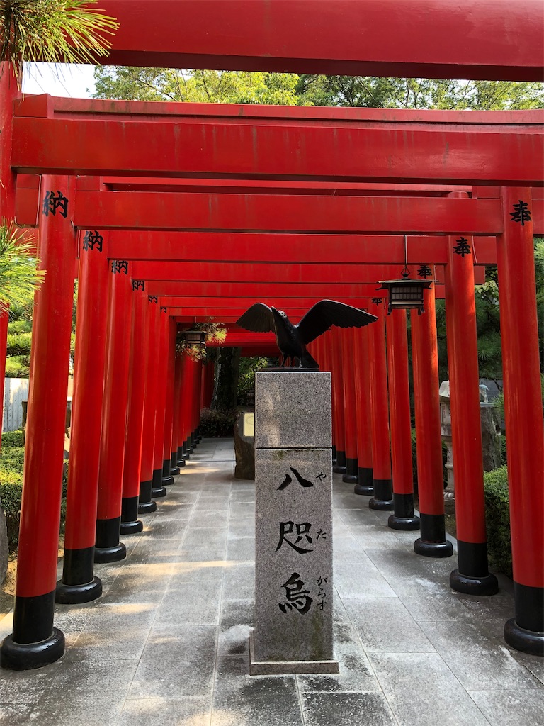 f:id:gokryu:20190805233501j:image f:id:gokryu:20190805233501j:image