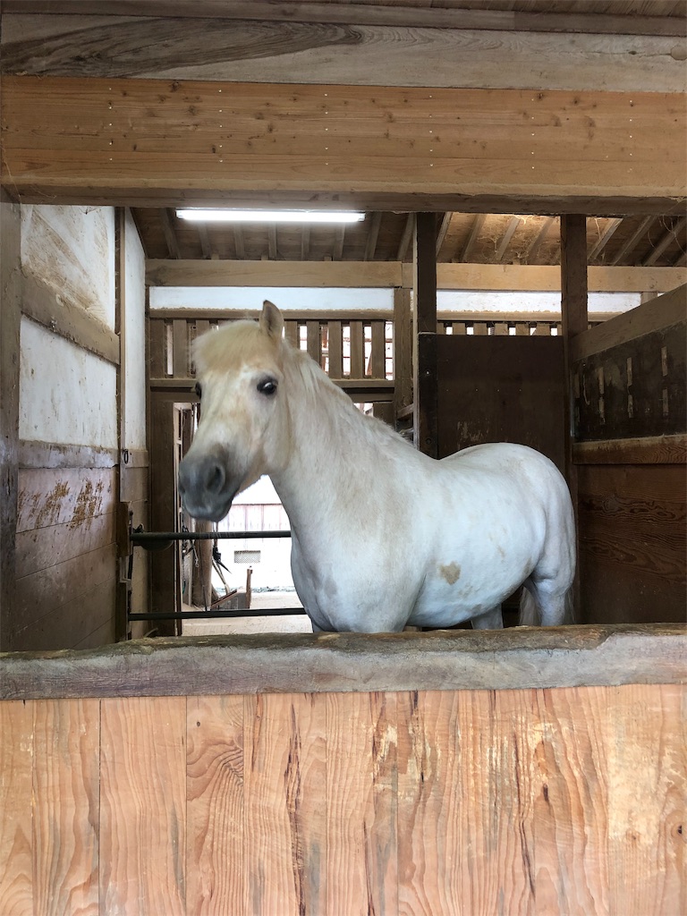 f:id:gokryu:20190805234303j:image f:id:gokryu:20190805234303j:image