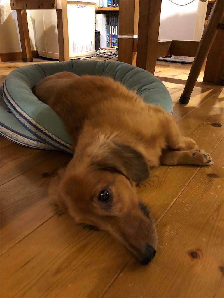 f:id:gokryu:20190829213012j:image