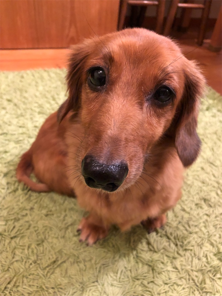 f:id:gokryu:20190829213041j:image