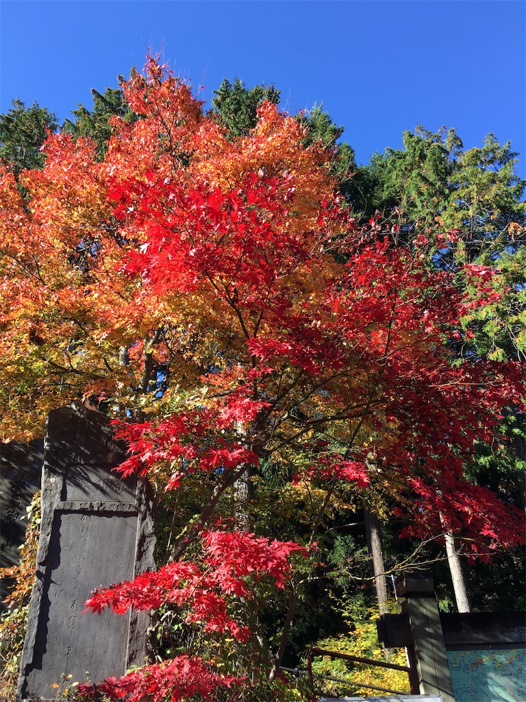 f:id:gokryu:20191003221147j:image