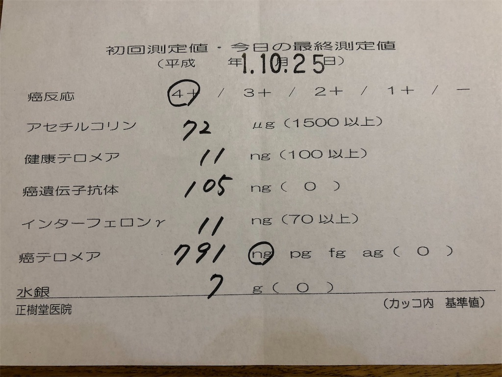 f:id:gokryu:20191029223300j:image