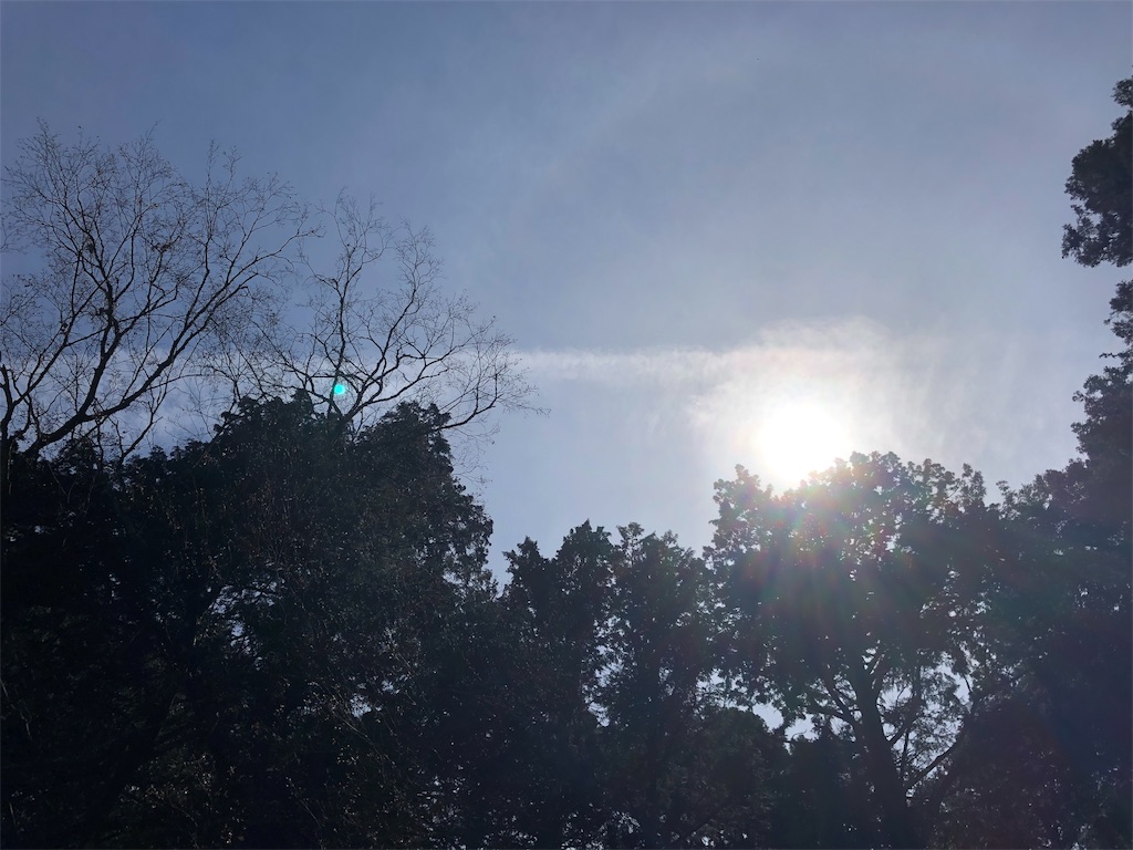 f:id:gokryu:20191126212645j:image