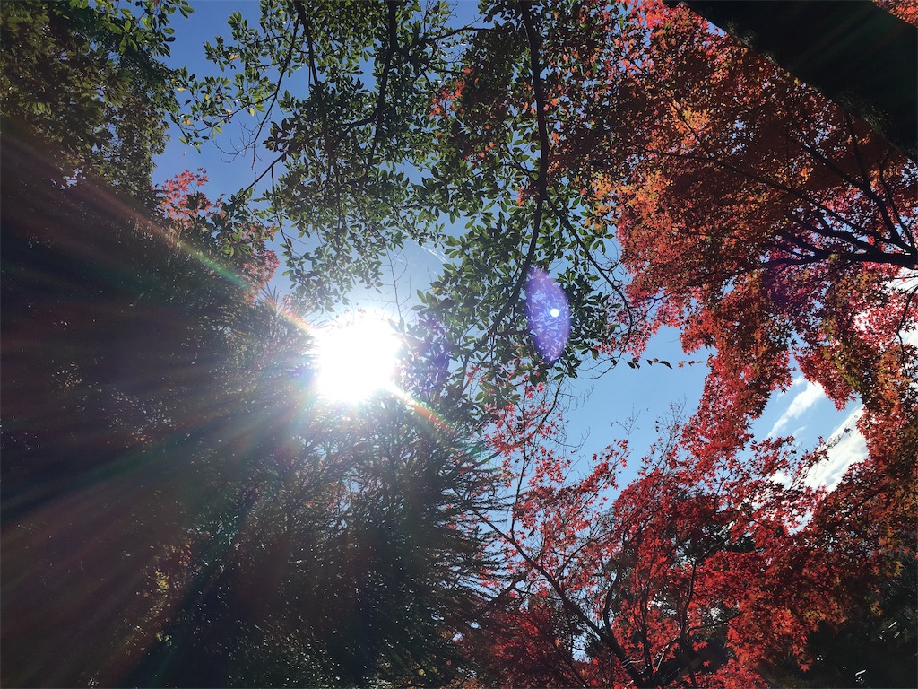 f:id:gokryu:20191205215418j:image