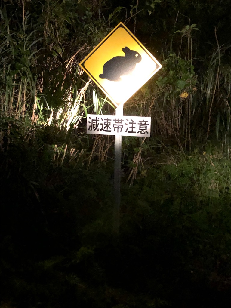 f:id:gokryu:20191230230040j:image