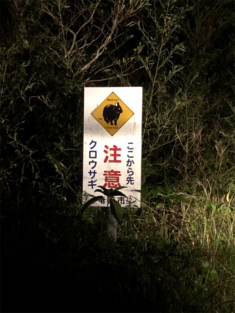 f:id:gokryu:20191230230046j:image