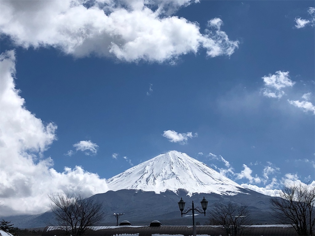 f:id:gokryu:20200315171831j:image