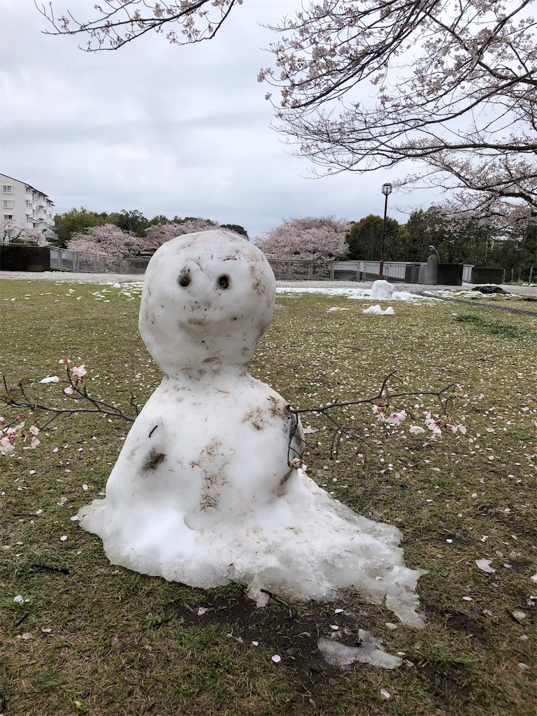 f:id:gokryu:20200330215721j:image