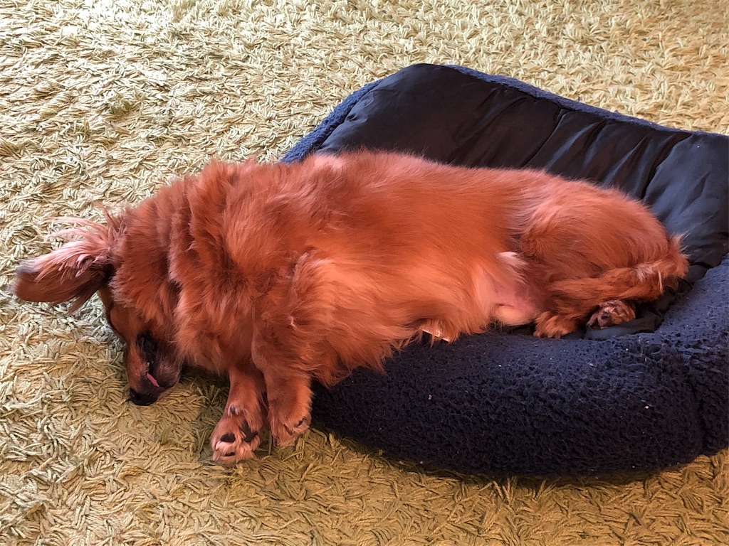 f:id:gokryu:20200330215915j:image