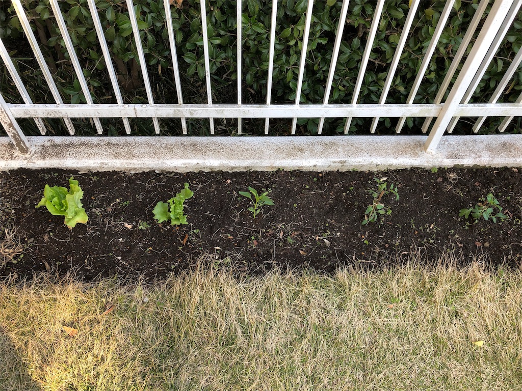 f:id:gokryu:20200406230718j:image