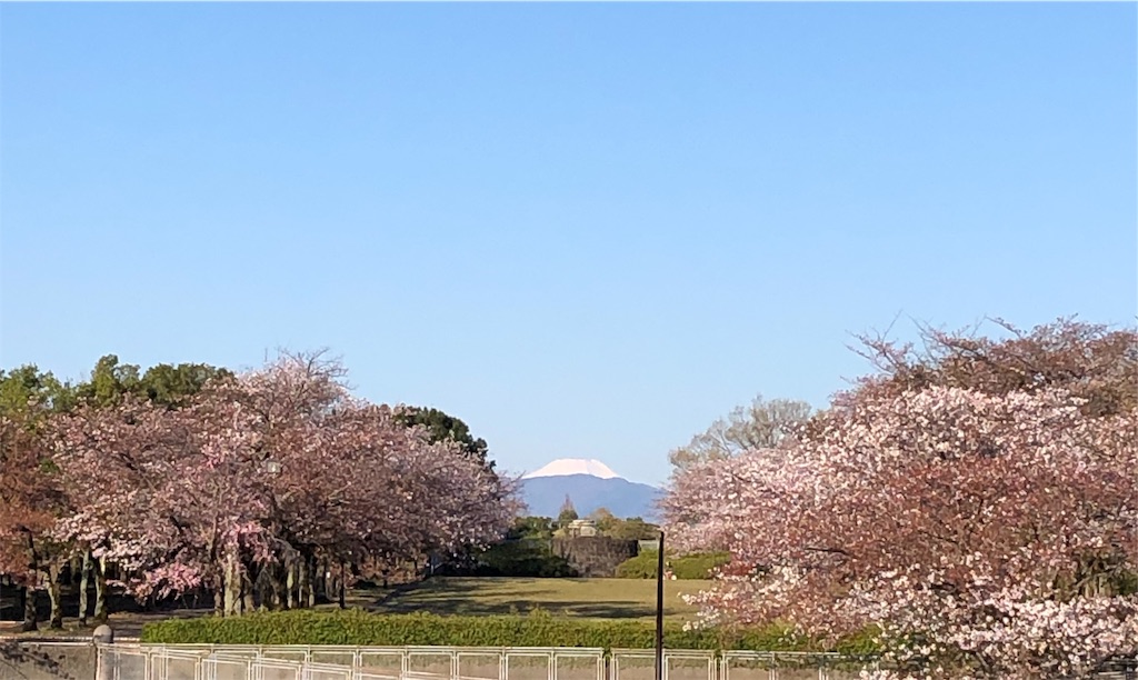 f:id:gokryu:20200406231319j:image