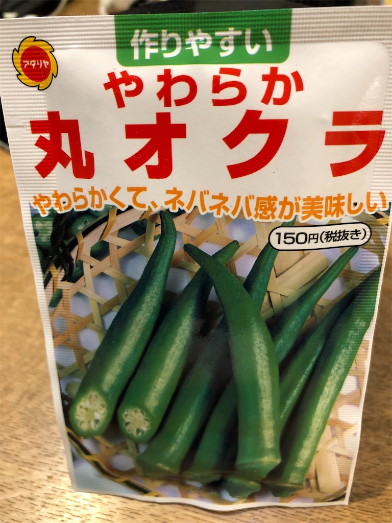 f:id:gokryu:20200406231354j:image