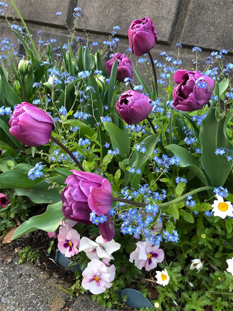 f:id:gokryu:20200407215814j:image