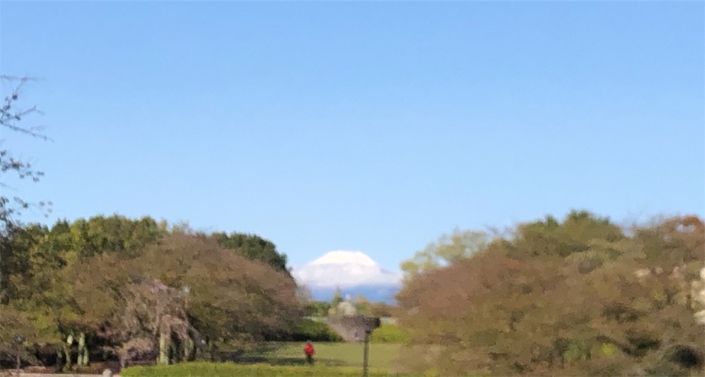 f:id:gokryu:20200414211832j:image