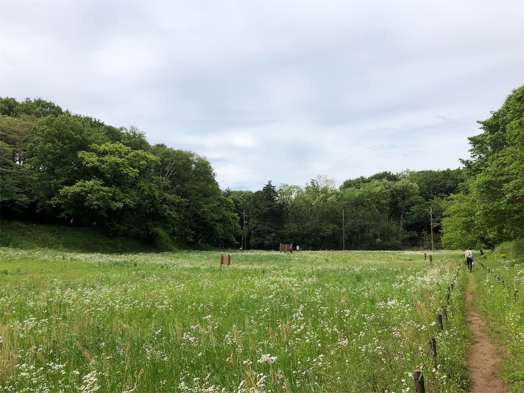 f:id:gokryu:20200509213909j:image