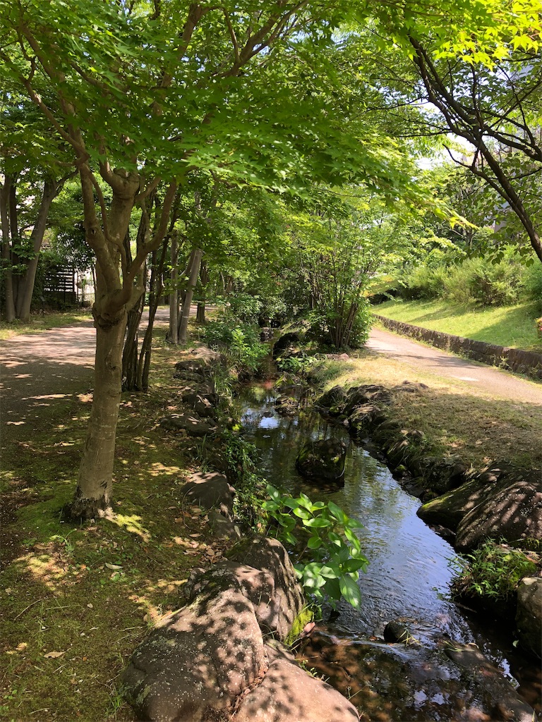 f:id:gokryu:20200608220553j:image