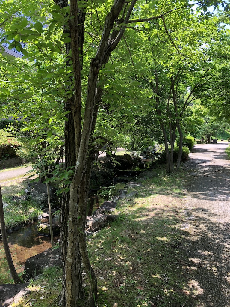 f:id:gokryu:20200608220601j:image