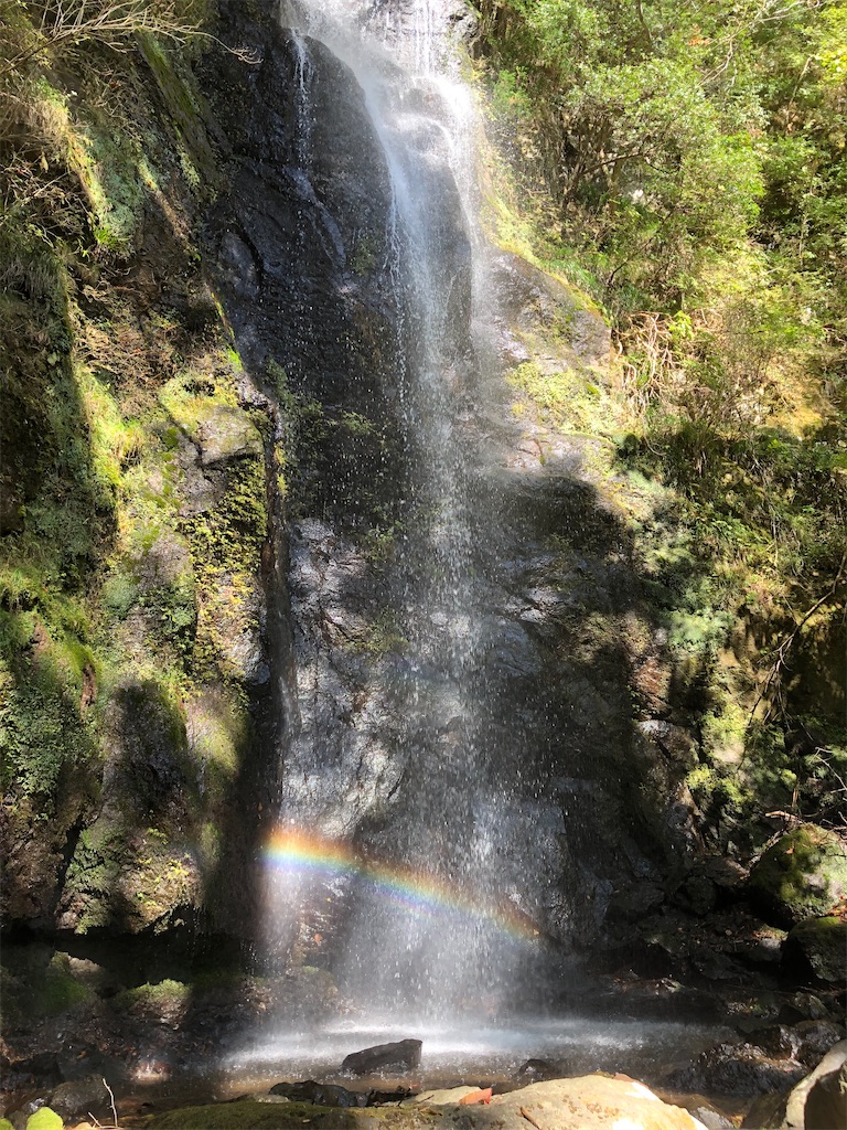 f:id:gokryu:20201110223042j:image f:id:gokryu:20201110223042j:image