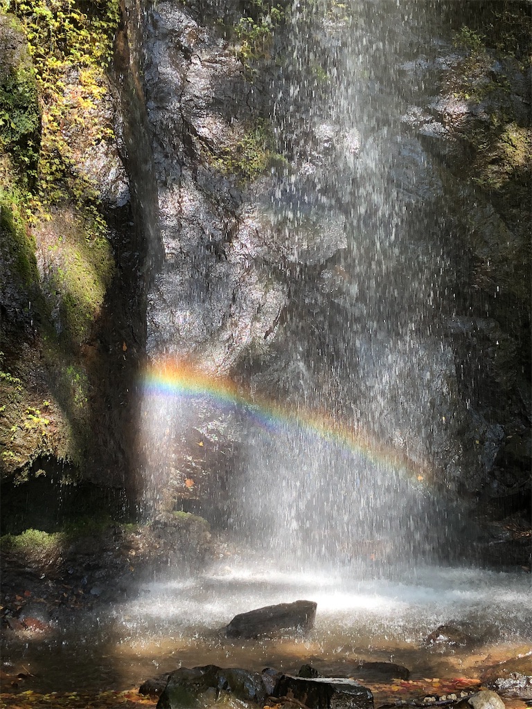 f:id:gokryu:20201110223047j:image f:id:gokryu:20201110223047j:image