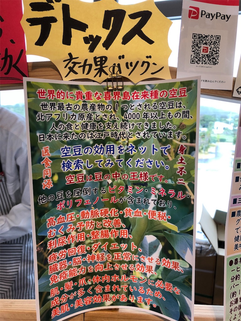 f:id:gokryu:20201125221821j:image