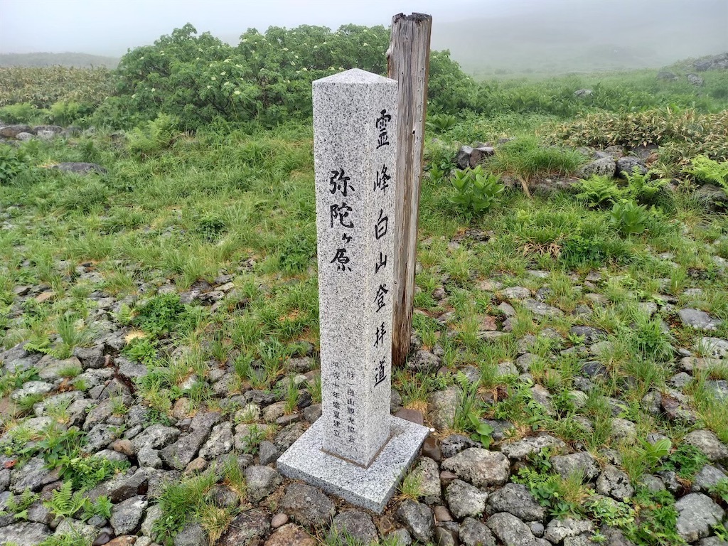 f:id:gokryu:20210125212852j:image